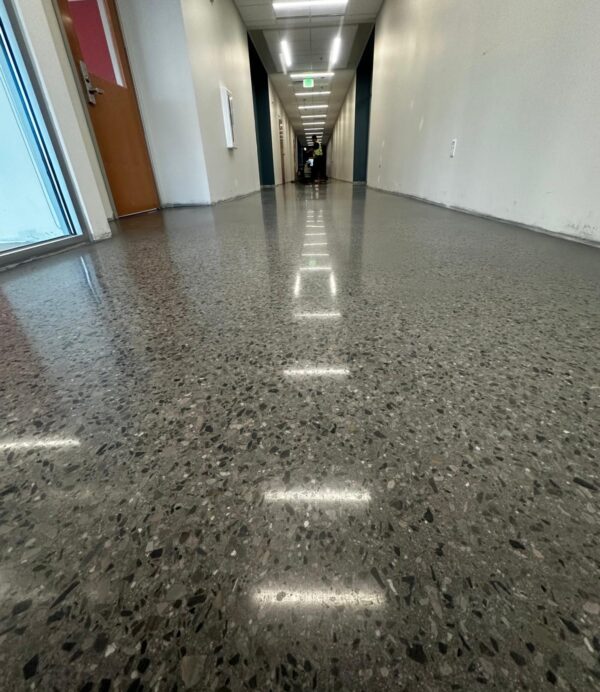 PHOTO-2026-01-19-10-55-40 copy