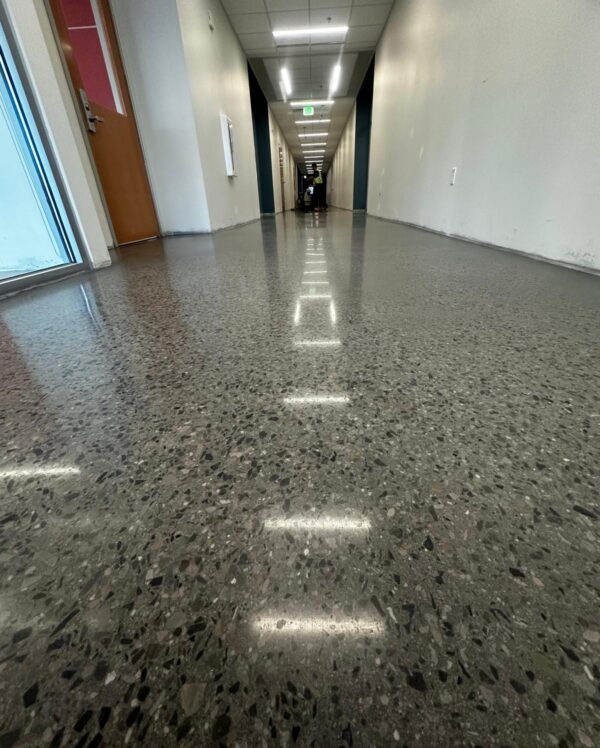 PHOTO-2026-01-19-10-55-40 copy