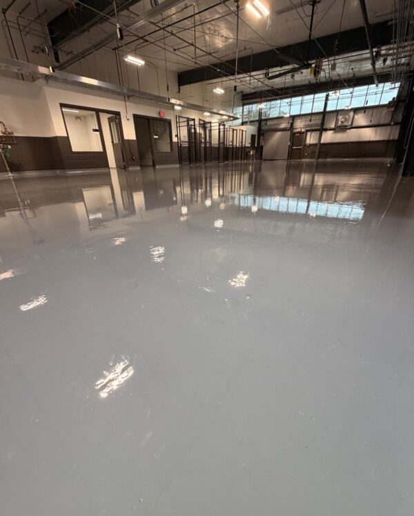 PHOTO-2026-01-19-11-05-55 copy